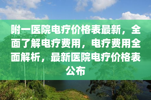 附一醫(yī)院電療價(jià)格表最新，全面了解電療費(fèi)用，電療費(fèi)用全面解析，最新醫(yī)院電療價(jià)格表公布