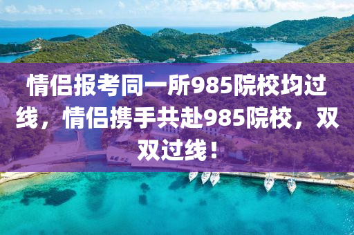 情侶報考同一所985院校均過線，情侶攜手共赴985院校，雙雙過線！液壓動力機(jī)械,元件制造