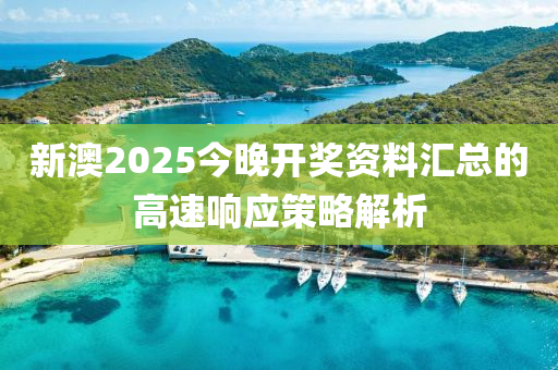 新澳2025今晚開獎資料匯總的高速響應(yīng)策略解析