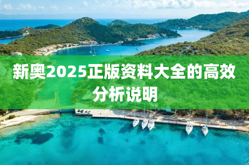 新奧2025正版資料大全的高效分析說(shuō)明