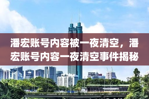 潘宏賬號內(nèi)容被一夜清空，潘宏賬號內(nèi)容一夜清空事件揭秘液壓動力機械,元件制造