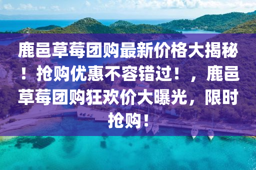 鹿邑草莓團購最新價格大揭秘！搶購優(yōu)惠不容錯過！，鹿邑草莓團購狂歡價大曝光，限時搶購！