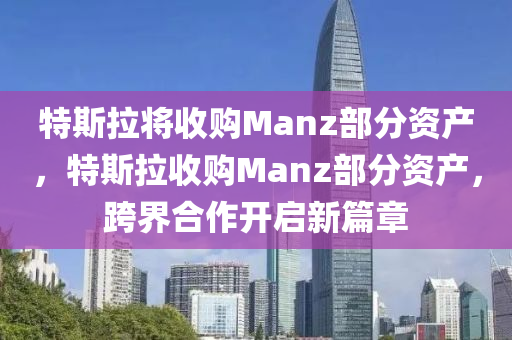 特斯拉將收購Manz部分資產，特斯拉收購Manz部分資產，跨界合作開啟新篇章液壓動力機械,元件制造