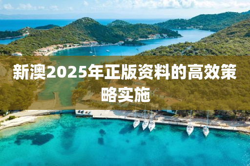 新澳2025年正版資料的高效策略實施