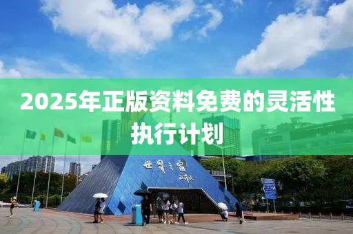 2025年正版資料免費(fèi)的靈活性執(zhí)行計劃