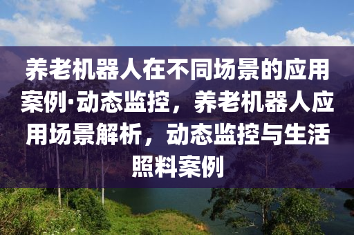 養(yǎng)老機(jī)器人在不同場景的應(yīng)用案例·動態(tài)監(jiān)控，養(yǎng)老機(jī)器人應(yīng)用場景解析，動態(tài)監(jiān)控與生活照料案例