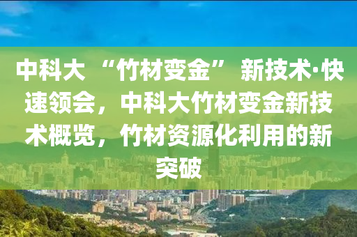 中科液壓動力機械,元件制造大 “竹材變金” 新技術·快速領會，中科大竹材變金新技術概覽，竹材資源化利用的新突破