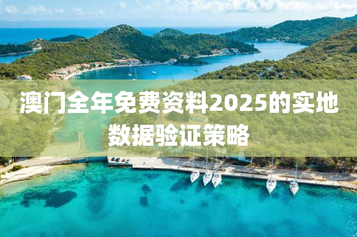 澳門全年免費(fèi)資料2025的實(shí)地?cái)?shù)據(jù)驗(yàn)證策略