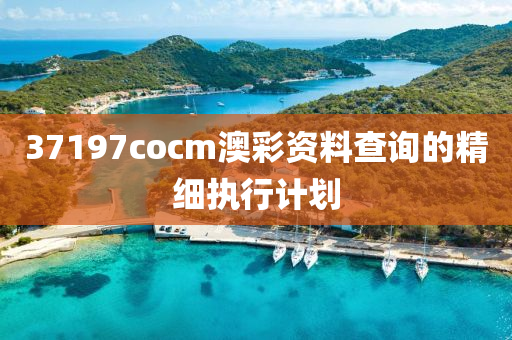 37197cocm澳彩資料查詢的精細(xì)執(zhí)行計劃