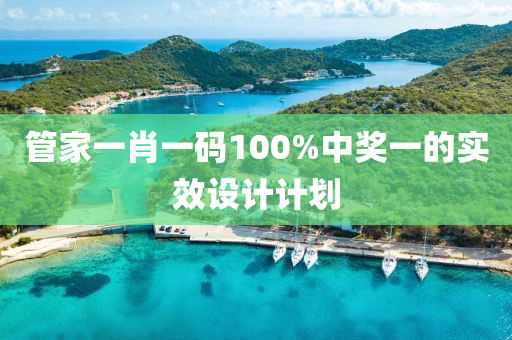 管家一肖一碼100%中獎一的實效設(shè)計計劃