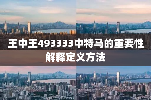 王中王493333中特馬的重要性解釋定義方法