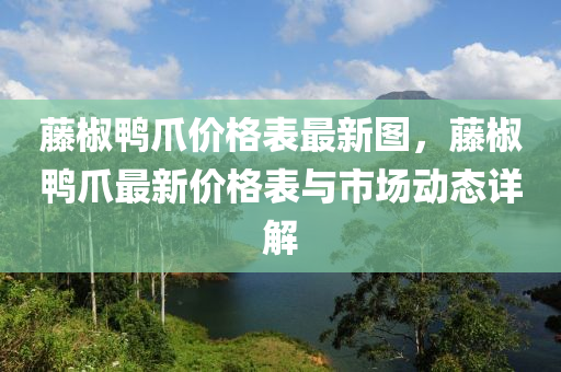 藤椒鴨爪價格表最新圖，藤椒鴨爪最新價格表與市場動態(tài)詳解