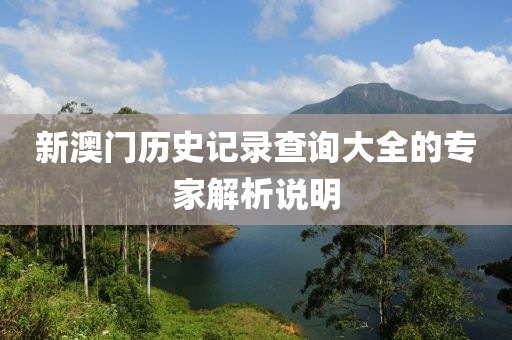 新澳門歷史記錄查詢大全的專家解析說明