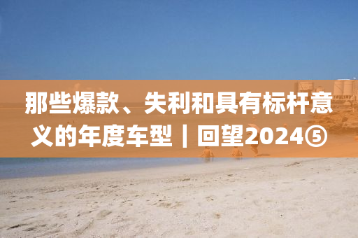 那些爆款、失利和具有標桿意義的年度車型｜回望2024⑤