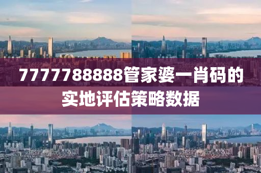 7777788888管家婆一肖碼的實地評估策略數(shù)據(jù)