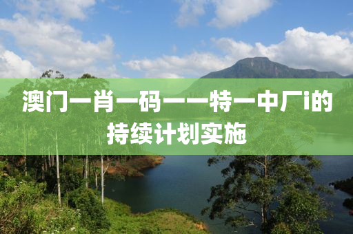 澳門一肖一碼一一特一中廠i的持續(xù)計劃實施