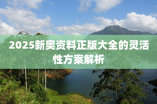 2025新奧資料正版大全的靈活性方案解析