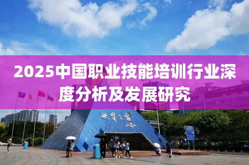 2025中國(guó)職業(yè)技能培訓(xùn)行業(yè)深度分析及發(fā)展研究