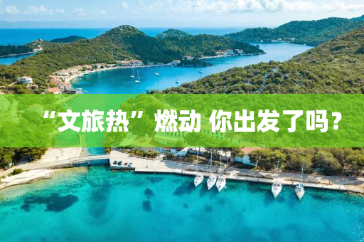 “文旅熱”燃動 你出發(fā)了嗎？液壓動力機械,元件制造