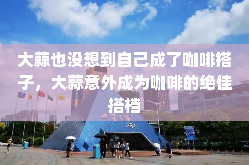 大蒜也沒想到自己成了咖啡搭子，大蒜意外成為咖啡的絕佳搭檔液壓動力機械,元件制造