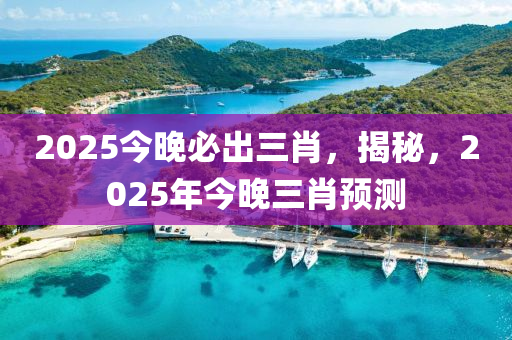 2025今晚必出三肖，揭秘，2025年今晚三肖預測液壓動力機械,元件制造