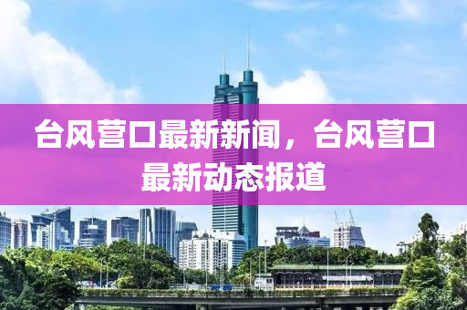 臺風營口最新新聞，臺風營口最新動態(tài)報道液壓動力機械,元件制造