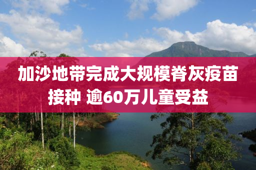 加沙地帶完成大規(guī)模脊灰疫苗接種 逾60萬兒童受益