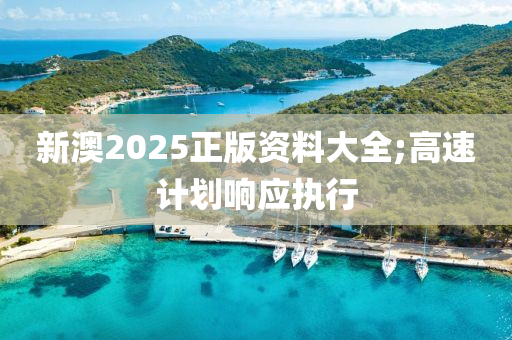 新澳2025正版資料大全;高速計(jì)劃響應(yīng)執(zhí)行