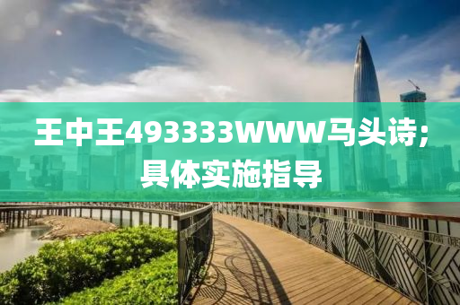 王中王493333WWW馬頭詩;具體實施指導(dǎo)