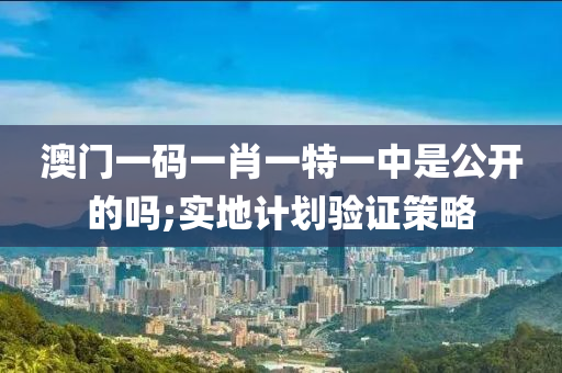 澳門一碼一肖一特一中是公開的嗎;液壓動力機械,元件制造實地計劃驗證策略