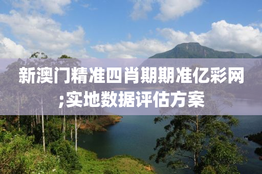 新澳門精準四肖期期準億彩網(wǎng);實地數(shù)據(jù)評估方案液壓動力機械,元件制造