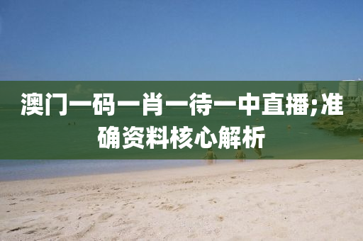 澳門一碼一肖一待一中直播;準(zhǔn)確資料核心解析液壓動力機(jī)械,元件制造