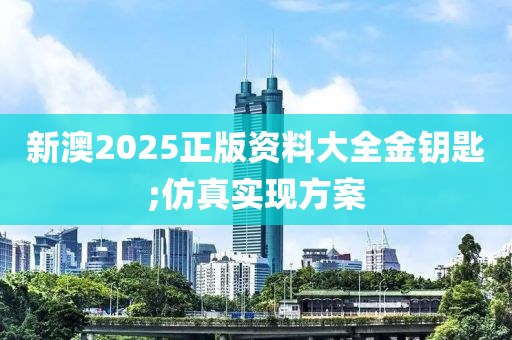 新澳2025正版資料大全金鑰匙;仿真實(shí)現(xiàn)方案