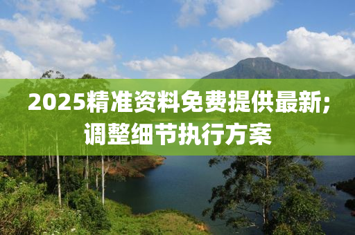 2025精準資料免費提供最新;調整細節(jié)執(zhí)行方案