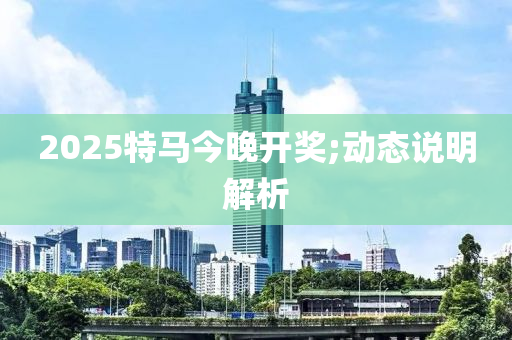 2025特馬今晚開獎;動態(tài)說明解析液壓動力機械,元件制造