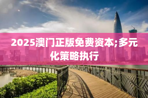 2025澳門正版免費資本;多元化液壓動力機械,元件制造策略執(zhí)行