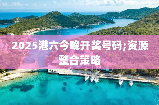 2025港六今晚開獎號碼;資源整合策略