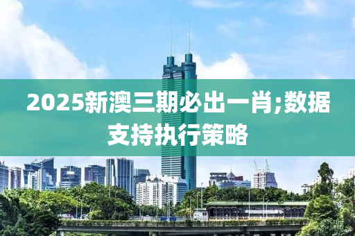 2025新澳三期必出一肖;數(shù)據(jù)支持執(zhí)行策略