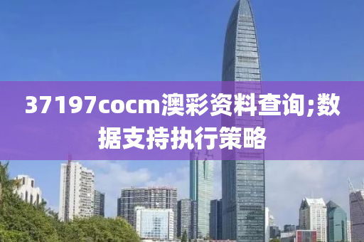 37197cocm澳彩資料查詢;數(shù)據(jù)支持執(zhí)行策略