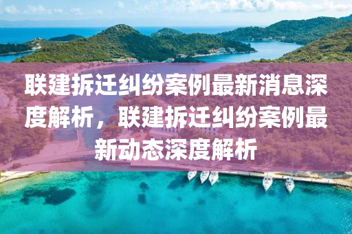 聯建拆遷糾紛案例最新消息深度解析，聯建拆遷糾紛案例最新動態(tài)深度解析液壓動力機械,元件制造