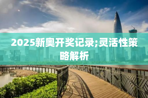 2025新奧開獎記錄;靈活性策略解析