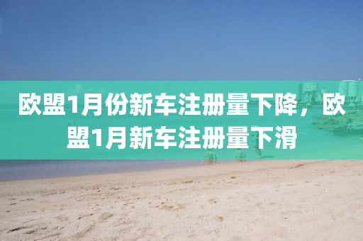歐盟1月份新車注冊量下降，歐盟1月新車注冊量下滑液壓動力機(jī)械,元件制造