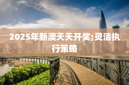 2025年新澳天天開獎;靈活執(zhí)行策略