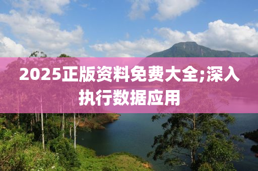 2025正版資料免費(fèi)大全;深入執(zhí)行數(shù)據(jù)應(yīng)用