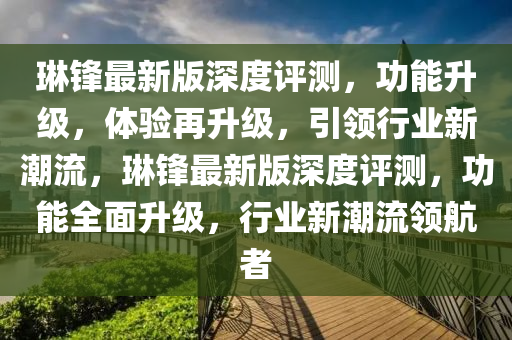 琳鋒最新版深度評(píng)測(cè)，功能升級(jí)，體驗(yàn)再升級(jí)，引領(lǐng)行業(yè)新潮流，琳鋒最新版深度評(píng)測(cè)，功能全面升級(jí)，行業(yè)新潮流領(lǐng)航者液壓動(dòng)力機(jī)械,元件制造