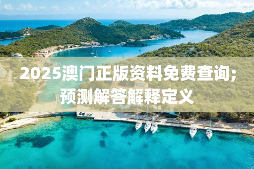 2025澳門(mén)正版資料免費(fèi)查詢;預(yù)測(cè)解答解釋定義