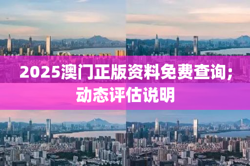 2025澳門正版資料免費(fèi)查詢;動(dòng)態(tài)評(píng)估說明