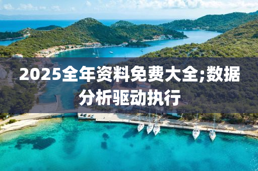 2025全年資料免費(fèi)大全;數(shù)據(jù)分析驅(qū)動(dòng)執(zhí)行