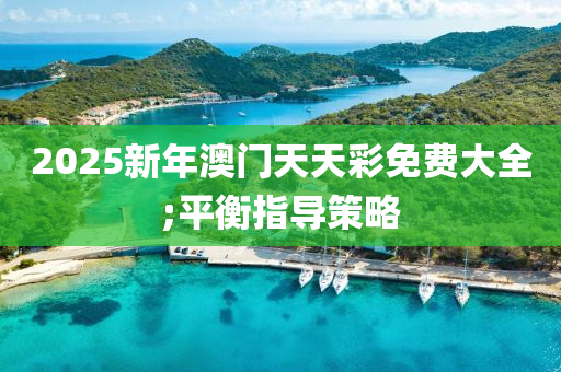 2025新年澳門天天彩免費大全;平衡指導策略液壓動力機械,元件制造