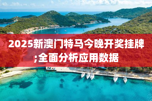 2025新澳門特液壓動力機(jī)械,元件制造馬今晚開獎掛牌;全面分析應(yīng)用數(shù)據(jù)